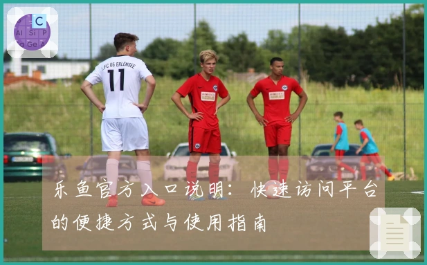 乐鱼官方入口说明：快速访问平台的便捷方式与使用指南