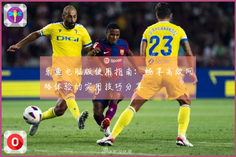 乐鱼电脑版使用指南：畅享高效网络体验的实用技巧分享